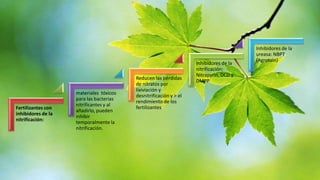 Fertilizantes con
inhibidores de la
nitrificación:

materiales tóxicos
para las bacterias
nitrificantes y al
añadirlo, pueden
inhibir
temporalmente la
nitrificación.

Reducen las pérdidas
de nitratos por
lixiviación y
desnitrificación y > el
rendimiento de los
fertilizantes

Inhibidores de la
nitrificación:
Nitrapyrin, DCD y
DMPP

Inhibidores de la
ureasa: NBPT
(Agrotain)

 