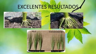 EXCELENTES RESULTADOS

 