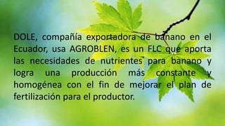 DOLE, compañía exportadora de banano en el
Ecuador, usa AGROBLEN, es un FLC que aporta
las necesidades de nutrientes para banano y
logra una producción más constante y
homogénea con el fin de mejorar el plan de
fertilización para el productor.

 