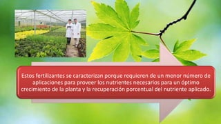 Estos fertilizantes se caracterizan porque requieren de un menor número de
aplicaciones para proveer los nutrientes necesarios para un óptimo
crecimiento de la planta y la recuperación porcentual del nutriente aplicado.

 