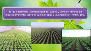 lo que maximiza la rentabilidad del cultivo y tiene un mínimo de
impacto ambiental sobre el suelo, el agua y la atmósfera (Trenkel, 1997)

 
