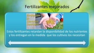 Fertilizantes mejorados

Estos fertilizantes retardan la disponibilidad de los nutrientes
y los entregan en la medida que los cultivos los necesitan

 