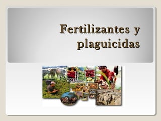 Fertilizantes yFertilizantes y
plaguicidasplaguicidas
 