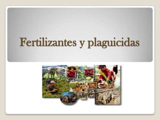 Fertilizantes y plaguicidas
 