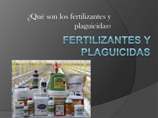 ¿Qué son los fertilizantes y
plaguicidas?
 