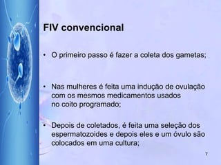 FIV convencional
• O primeiro passo é fazer a coleta dos gametas;
• Nas mulheres é feita uma indução de ovulação
com os mesmos medicamentos usados
no coito programado;
• Depois de coletados, é feita uma seleção dos
espermatozoides e depois eles e um óvulo são
colocados em uma cultura;
7
 
