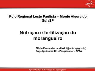 Polo Regional Leste Paulista – Monte Alegre do Sul /SP Nutrição e fertilização do morangueiro Flávio Fernandes Jr. (flaviof@apta.sp.gov.br) Eng. Agrônomo Dr. - Pesquisador - APTA 