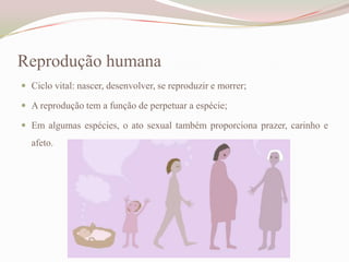 Reprodução humana
 Ciclo vital: nascer, desenvolver, se reproduzir e morrer;
 A reprodução tem a função de perpetuar a espécie;
 Em algumas espécies, o ato sexual também proporciona prazer, carinho e

afeto.

 