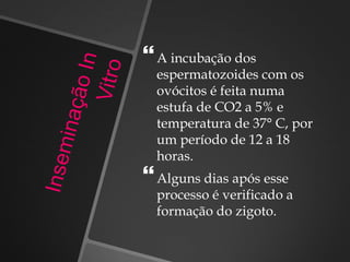 A incubação dos
espermatozoides com os
ovócitos é feita numa
estufa de CO2 a 5% e
temperatura de 37° C, por
um período de 12 a 18
horas.
Alguns dias após esse
processo é verificado a
formação do zigoto.
 