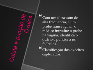 Com um ultrassom de
alta frequência, e um
probe transvaginal, o
médico introduz o probe
na vagina, identifica o
ovário e punciona os
folículos.
Classificação dos ovócitos
capturados.
 