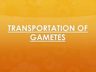 TRANSPORTATION OF
     GAMETES
 