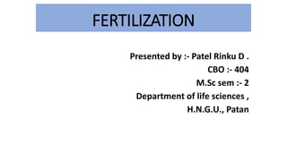 FERTILIZATION
Presented by :- Patel Rinku D .
CBO :- 404
M.Sc sem :- 2
Department of life sciences ,
H.N.G.U., Patan
 