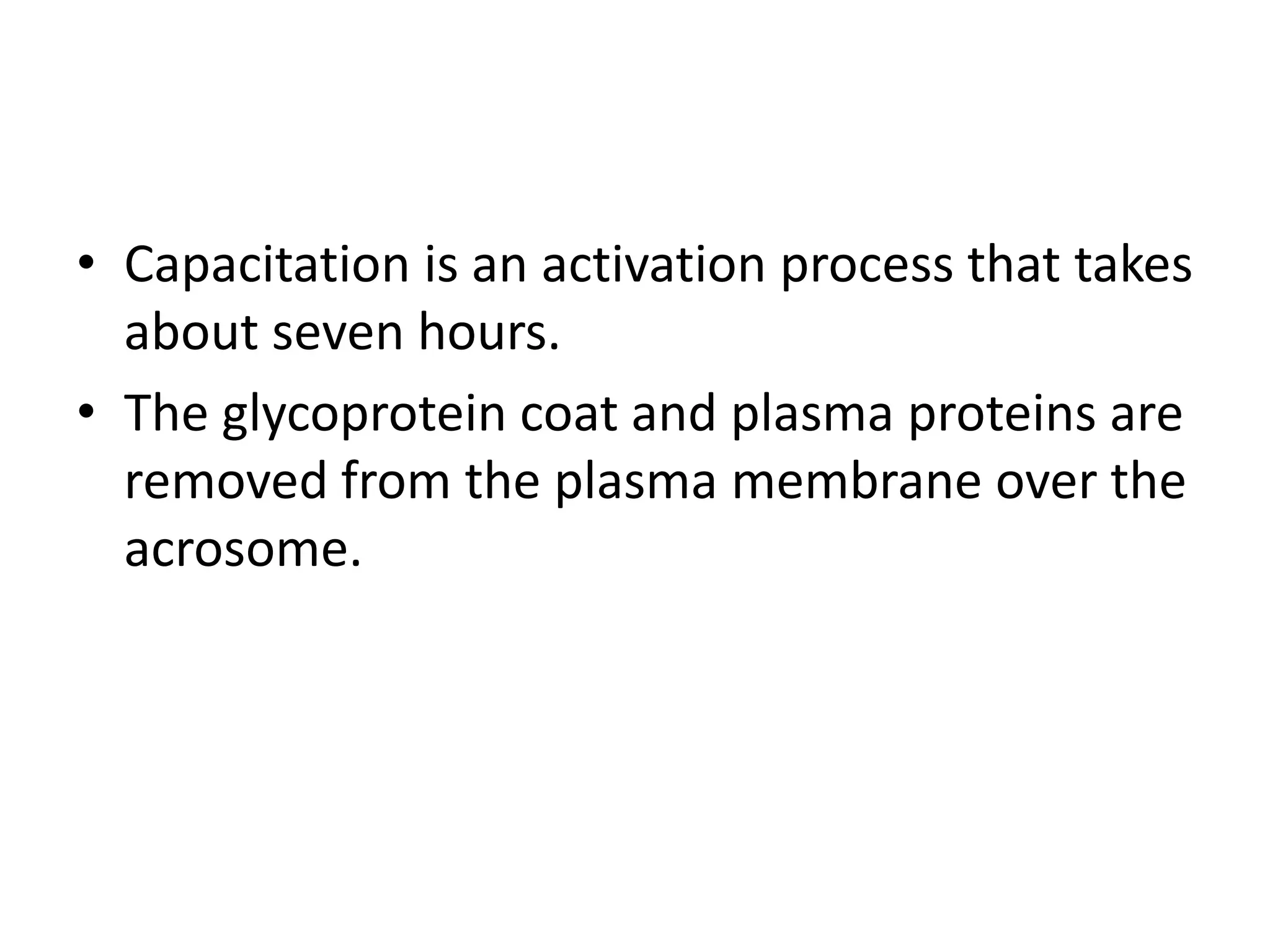 • Capacitation is an activation process that takes
about seven hours.
• The glycoprotein coat and plasma proteins are
removed from the plasma membrane over the
acrosome.
 
