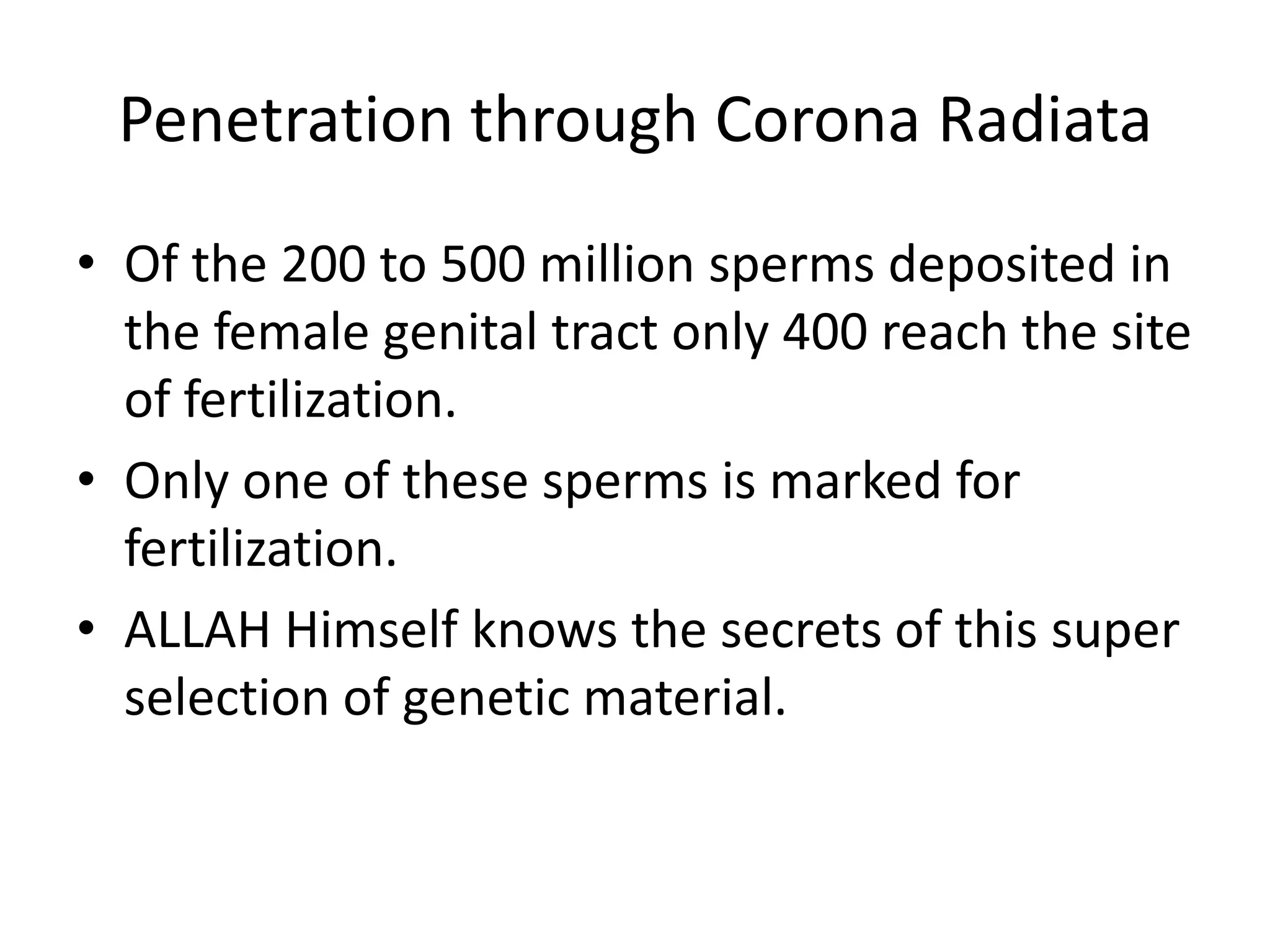 Penetration through Corona Radiata
• Of the 200 to 500 million sperms deposited in
the female genital tract only 400 reach the site
of fertilization.
• Only one of these sperms is marked for
fertilization.
• ALLAH Himself knows the secrets of this super
selection of genetic material.
 