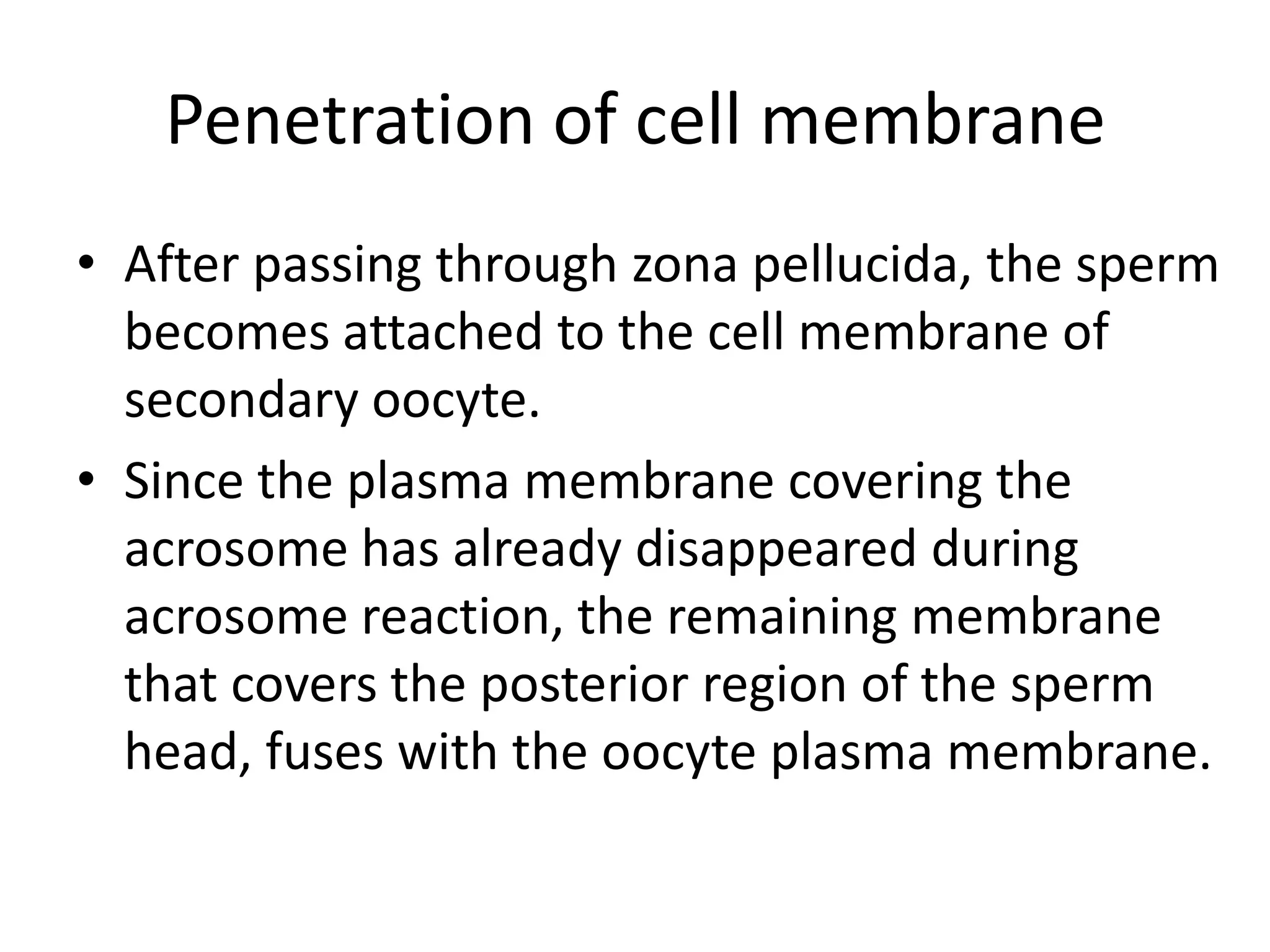 Penetration of cell membrane
• After passing through zona pellucida, the sperm
becomes attached to the cell membrane of
secondary oocyte.
• Since the plasma membrane covering the
acrosome has already disappeared during
acrosome reaction, the remaining membrane
that covers the posterior region of the sperm
head, fuses with the oocyte plasma membrane.
 