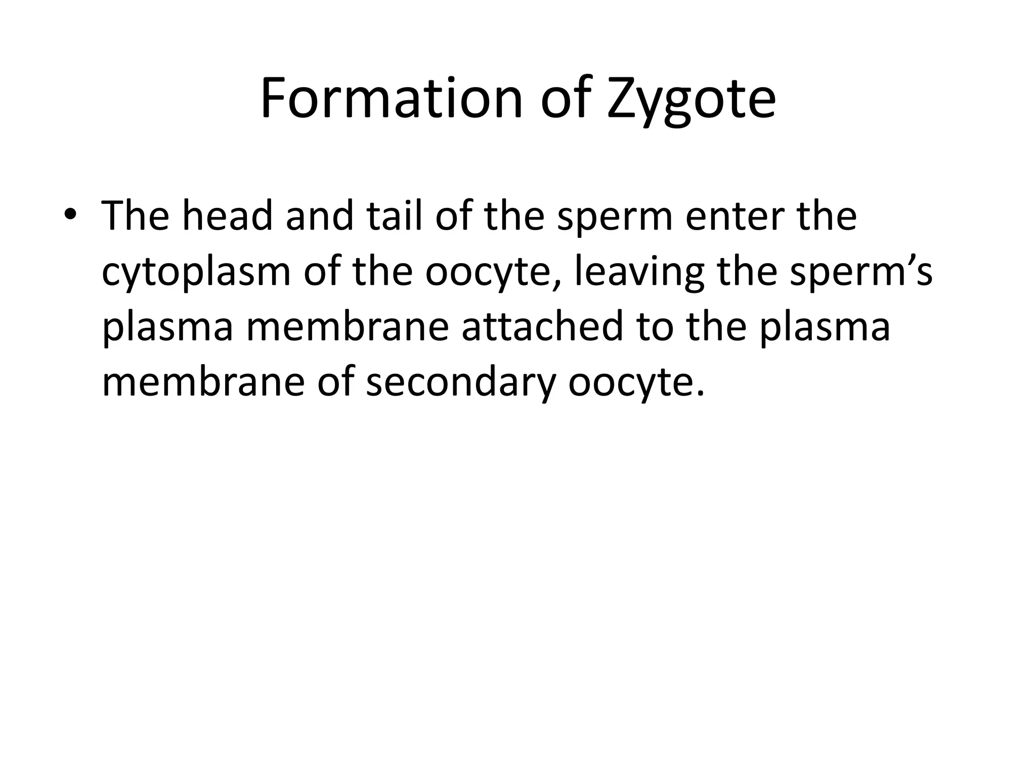 Formation of Zygote
• The head and tail of the sperm enter the
cytoplasm of the oocyte, leaving the sperm’s
plasma membrane attached to the plasma
membrane of secondary oocyte.
 