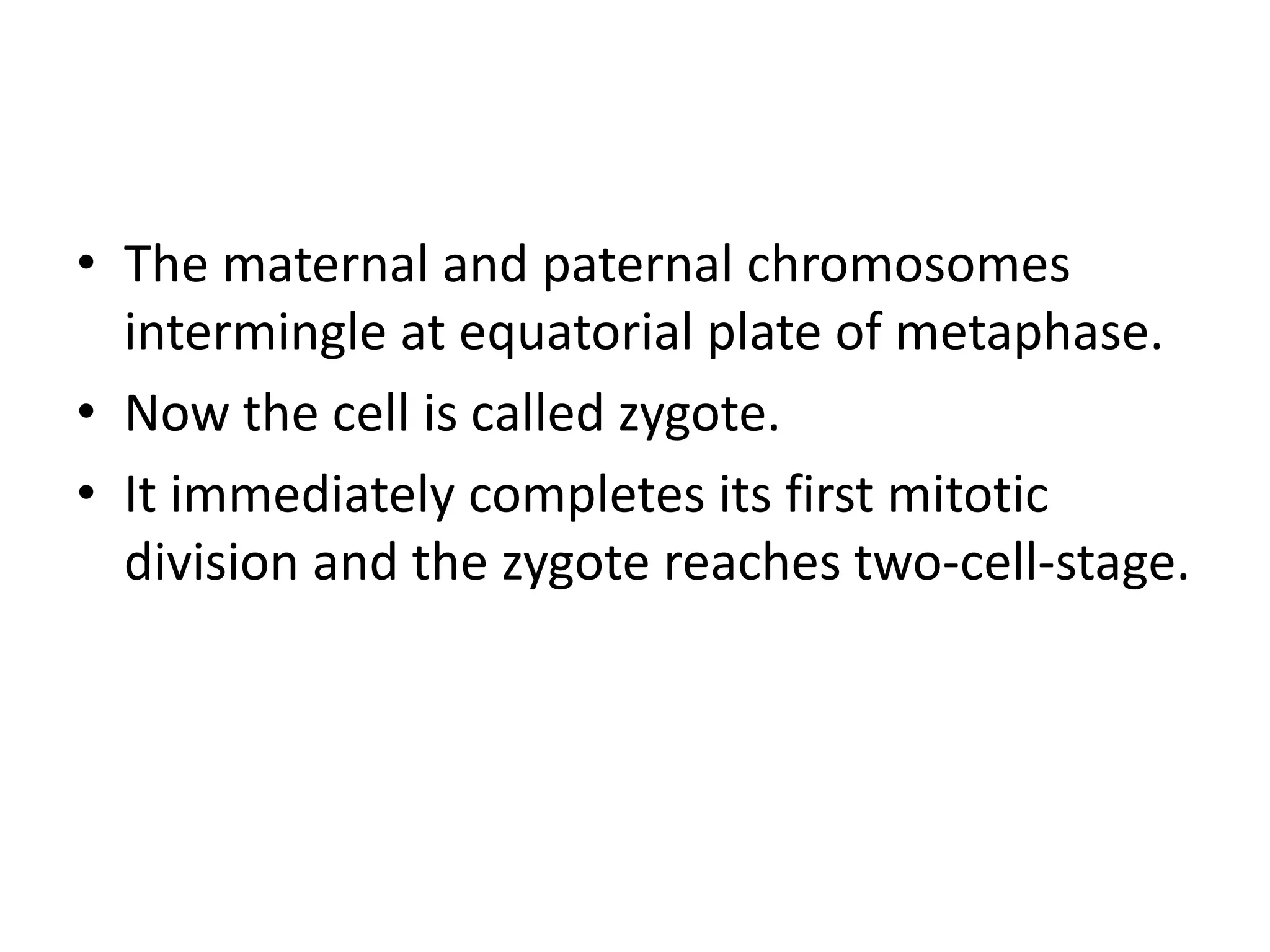 • The maternal and paternal chromosomes
intermingle at equatorial plate of metaphase.
• Now the cell is called zygote.
• It immediately completes its first mitotic
division and the zygote reaches two-cell-stage.
 