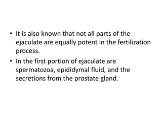 • It is also known that not all parts of the
ejaculate are equally potent in the fertilization
process.
• In the first portion of ejaculate are
spermatozoa, epididymal fluid, and the
secretions from the prostate gland.
 