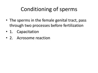 Conditioning of sperms
• The sperms in the female genital tract, pass
through two processes before fertilization
• 1. Capacitation
• 2. Acrosome reaction
 