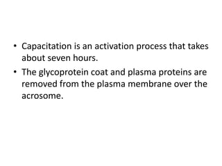 • Capacitation is an activation process that takes
about seven hours.
• The glycoprotein coat and plasma proteins are
removed from the plasma membrane over the
acrosome.
 