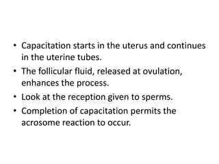 • Capacitation starts in the uterus and continues
in the uterine tubes.
• The follicular fluid, released at ovulation,
enhances the process.
• Look at the reception given to sperms.
• Completion of capacitation permits the
acrosome reaction to occur.
 