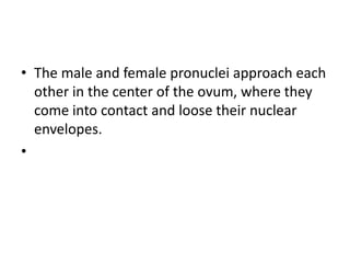 • The male and female pronuclei approach each
other in the center of the ovum, where they
come into contact and loose their nuclear
envelopes.
•
 