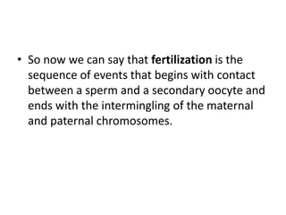 • So now we can say that fertilization is the
sequence of events that begins with contact
between a sperm and a secondary oocyte and
ends with the intermingling of the maternal
and paternal chromosomes.
 
