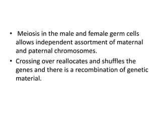 • Meiosis in the male and female germ cells
allows independent assortment of maternal
and paternal chromosomes.
• Crossing over reallocates and shuffles the
genes and there is a recombination of genetic
material.
 