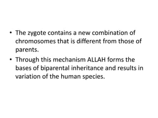 • The zygote contains a new combination of
chromosomes that is different from those of
parents.
• Through this mechanism ALLAH forms the
bases of biparental inheritance and results in
variation of the human species.
 