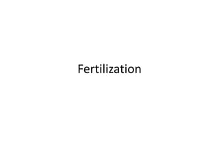 Fertilization
 