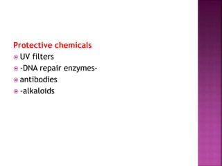Protective chemicals
 UV filters
 -DNA repair enzymes-
 antibodies
 -alkaloids
 