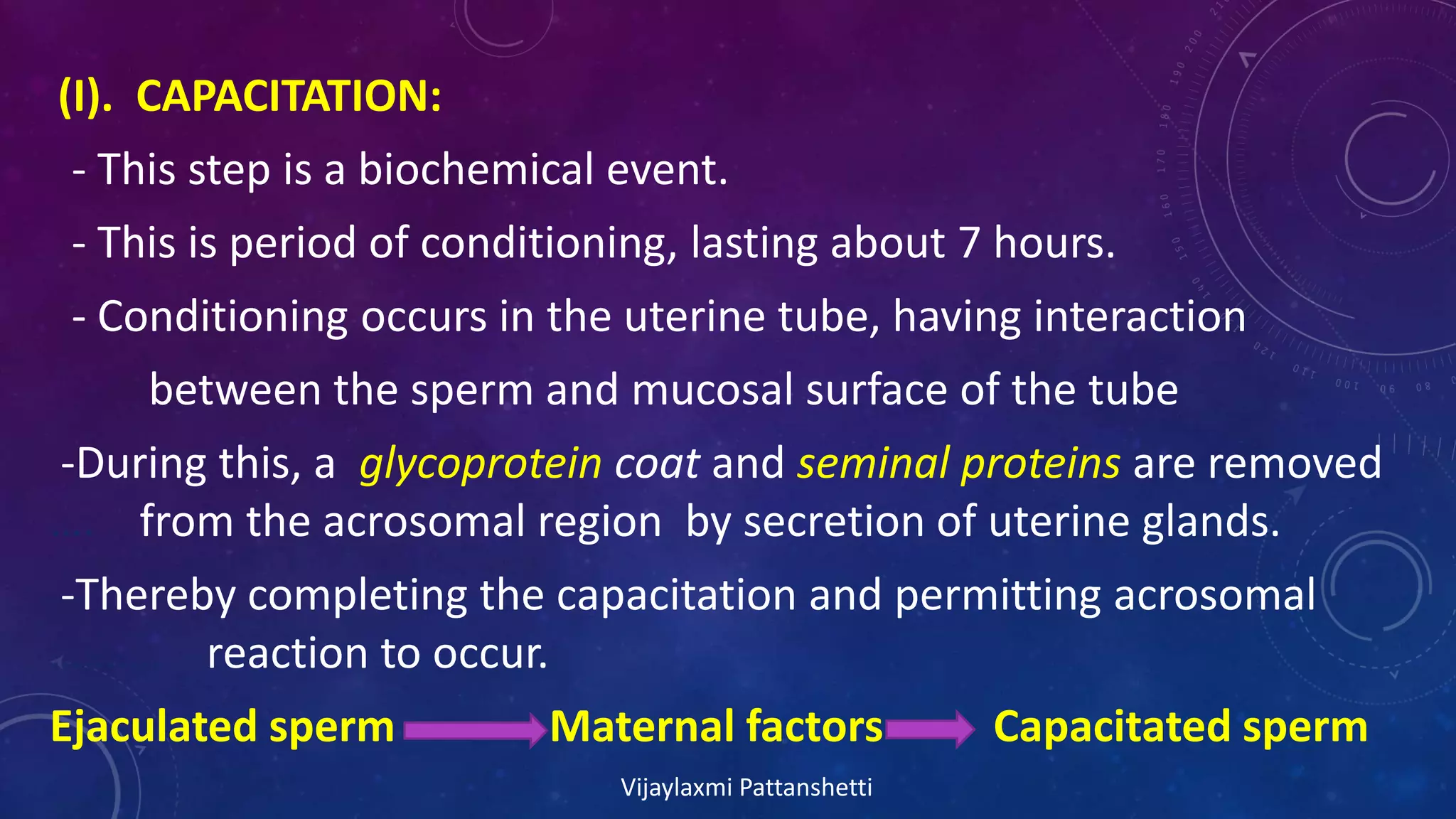(I). CAPACITATION:
- This step is a biochemical event.
- This is period of conditioning, lasting about 7 hours.
- Conditioning occurs in the uterine tube, having interaction
between the sperm and mucosal surface of the tube
-During this, a glycoprotein coat and seminal proteins are removed
…. from the acrosomal region by secretion of uterine glands.
-Thereby completing the capacitation and permitting acrosomal
………. reaction to occur.
Ejaculated sperm Maternal factors Capacitated sperm
Vijaylaxmi Pattanshetti
 