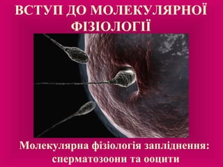 ВСТУП ДО МОЛЕКУЛЯРНОЇ
ФІЗІОЛОГІЇ
Молекулярна фізіологія запліднення:
сперматозоони та ооцити
 