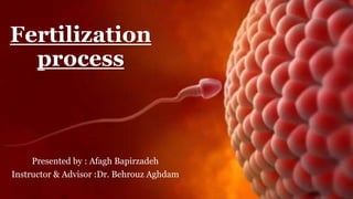 Fertilization
process
Presented by : Afagh Bapirzadeh
Instructor & Advisor :Dr. Behrouz Aghdam
 