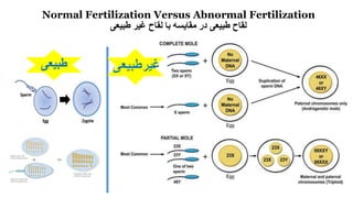 Normal Fertilization Versus Abnormal Fertilization
‫طبیعی‬ ‫غیر‬ ‫لقاح‬ ‫با‬ ‫مقایسه‬ ‫در‬ ‫طبیعی‬ ‫لقاح‬
‫طبیعی‬
 