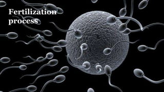 Fertilization
process
 