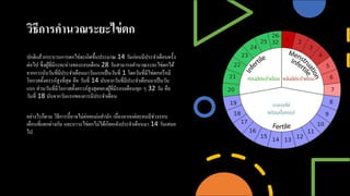 วิธีการคํานวณระยะไข่ตก
ปกติแล้วกระบวนการตกไข่จะเกิดขึXนประมาณ 14	วันก่อนมีประจําเดือนครัXง
ต่อไป ซึPงผู้ทีPมีระยะห่างของรอบเดือน 28	วันสามารถคํานวณระยะไข่ตกได้
จากการนับวันทีPมีประจําเดือนมาวันแรกเป็นวันทีP 1	โดยวันทีPมีไข่ตกหรือมี
โอกาสตัXงครรภ์สูงทีPสุด คือ วันทีP 14	นับจากวันทีPมีประจําเดือนมาเป็นวัน
แรก ส่วนวันทีPมีโอกาสตัXงครรภ์สูงสุดของผู้ทีPมีรอบเดือนทุก ๆ 32	วัน คือ
วันทีP 18	นับจากวันแรกของการมีประจําเดือน
อย่างไรก็ตาม วิธีการนีXอาจไม่ค่อยแม่นยํานัก เนืPองจากแต่ละคนมีช่วงรอบ
เดือนทีPแตกต่างกัน และภาวะไข่ตกไม่ได้เกิดหลังประจําเดือนมา 14	วันเสมอ
ไป
 