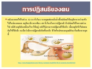  หลังจากตกไข่ในช่วง 12-14 ชั่วโมง หากคุณพ่อหลั่งน้าเชื้อปล่อยให้อสุจิแหวกว่ายเข้า
ไปในช่องคลอด อสุจิจะมีเวลาเพียง 48 ชั่วโมงในการปฏิสนธิ ถ้าปล่อยให้โอกาสผ่าน
ไป แม้ตัวอสุจิยังเคลื่อนไหวได้อยู่ แต่ก็ไม่สามารถปฏิสนธิได้แล้ว เมื่ออสุจิเข้าไปผสม
กับไข่ได้แล้ว จะถือว่ามีการปฏิสนธิเกิดขึ้นแล้ว ชีวิตใหม่ของมนุษย์ก็จะเริ่มต้นจากจุด
นี้
การปฏิสนธิของคน
http://www.thaigoodview.com/library/contest1/health03/05/2/contents/born02.html
 