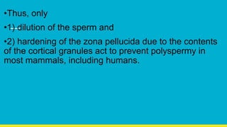 •Thus, only
•1) dilution of the sperm and
•2) hardening of the zona pellucida due to the contents
of the cortical granules act to prevent polyspermy in
most mammals, including humans.
 
