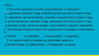 •FAQs:
1.The correct sequence of events during fertilization in mammals is
a) capacitation,activation of egg, acrosomal reaction and entry of sperm in egg
b). capacitation, acrosomal reaction, activation of egg and entry of sperm in egg
c) acrosomal reaction, activation of egg, capacitation and entry of sperm in egg
d) activation of egg, acrosomal reaction, entry of sperm in egg and capacitation
2. The chemical substance found in the surface layer of cytoplasm of spermatozoa
is
a) fertilizin b) antifertilizin c) hyaluronidase d) Agglutinin
3. An enzyme which is secreted by mammalian sperms is
a) protein kinase b) hyaluronidase c) collagenase d) pepsin
 