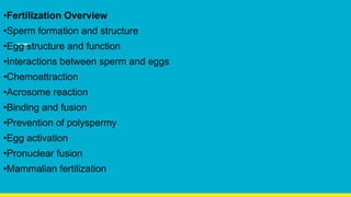 •Fertilization Overview
•Sperm formation and structure
•Egg structure and function
•Interactions between sperm and eggs
•Chemoattraction
•Acrosome reaction
•Binding and fusion
•Prevention of polyspermy
•Egg activation
•Pronuclear fusion
•Mammalian fertilization
 