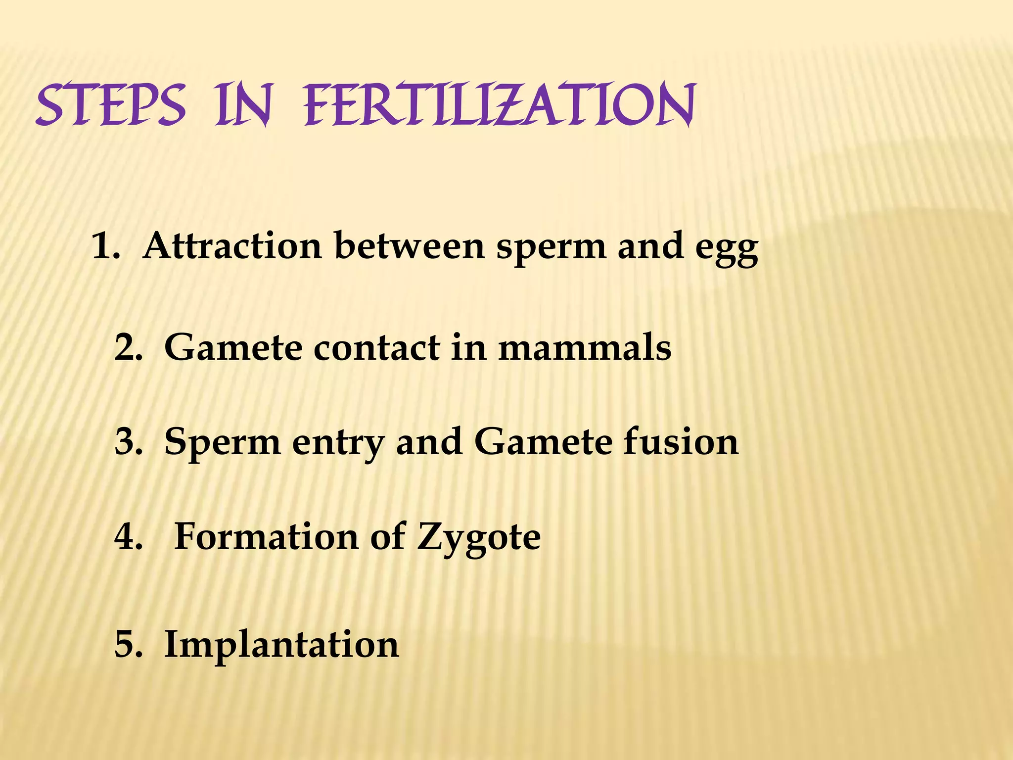 STEPS IN FERTILIZATION
1. Attraction between sperm and egg
2. Gamete contact in mammals
3. Sperm entry and Gamete fusion
4. Formation of Zygote
5. Implantation
 