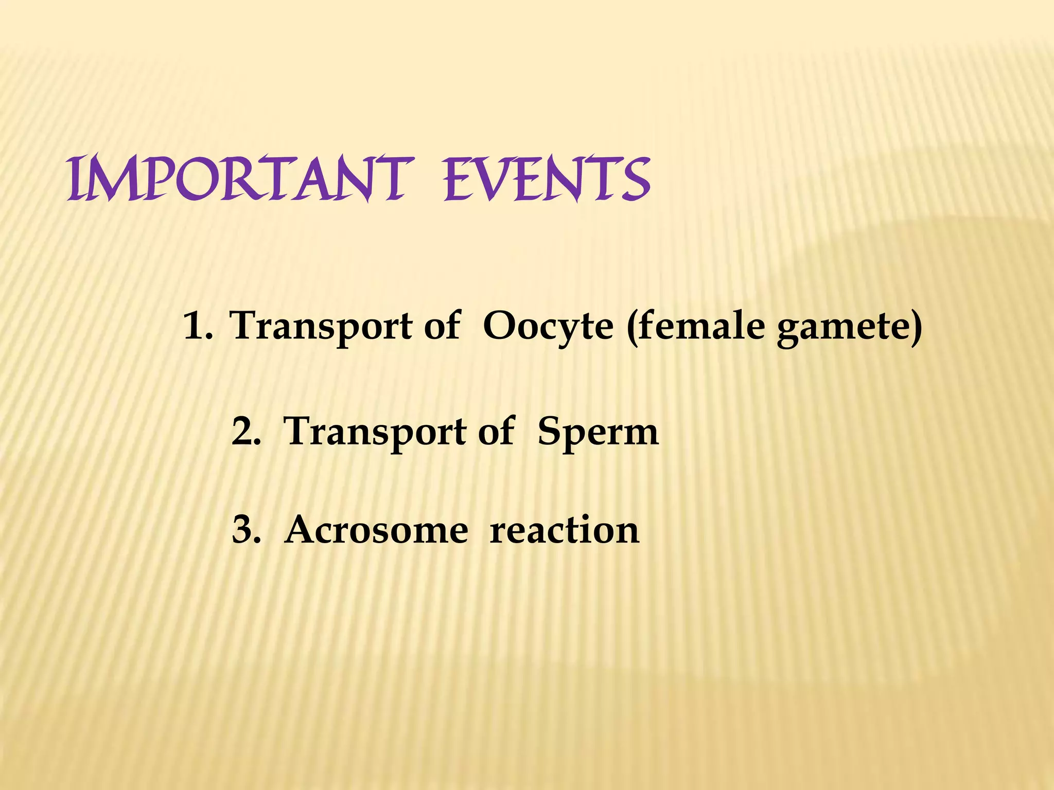 IMPORTANT EVENTS
1. Transport of Oocyte (female gamete)
2. Transport of Sperm
3. Acrosome reaction
 
