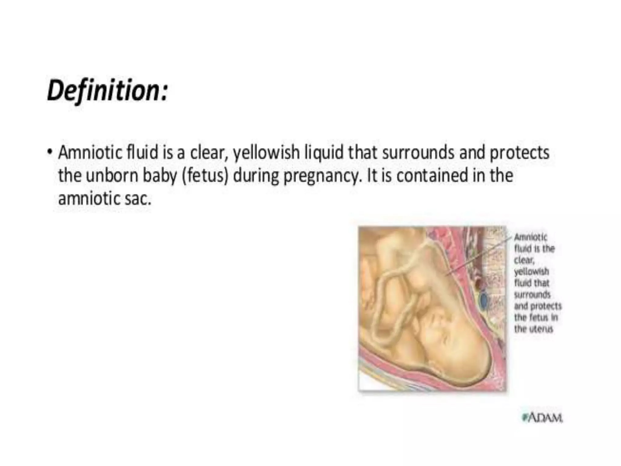 Fertilization, implantation, development of placenta and its function ...