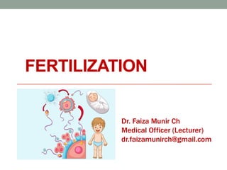 FERTILIZATION
Dr. Faiza Munir Ch
Medical Officer (Lecturer)
dr.faizamunirch@gmail.com
 