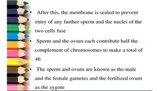 Fertilization.pptx