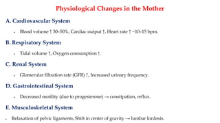 Physiological Changes in the Mother
A. Cardiovascular System
• Blood volume ↑ 30–50%, Cardiac output ↑, Heart rate ↑ ~10–15 bpm.
B. Respiratory System
• Tidal volume ↑, Oxygen consumption ↑.
C. Renal System
• Glomerular filtration rate (GFR) ↑, Increased urinary frequency.
D. Gastrointestinal System
• Decreased motility (due to progesterone) → constipation, reflux.
E. Musculoskeletal System
• Relaxation of pelvic ligaments, Shift in center of gravity → lumbar lordosis.
 
