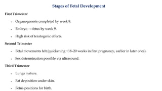 Stages of Fetal Development
First Trimester
• Organogenesis completed by week 8.
• Embryo → fetus by week 9.
• High risk of teratogenic effects.
Second Trimester
• Fetal movements felt (quickening ~18–20 weeks in first pregnancy, earlier in later ones).
• Sex determination possible via ultrasound.
Third Trimester
• Lungs mature.
• Fat deposition under skin.
• Fetus positions for birth.
 