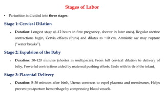 Stages of Labor
• Parturition is divided into three stages:
Stage 1: Cervical Dilation
• Duration: Longest stage (6–12 hours in first pregnancy, shorter in later ones), Regular uterine
contractions begin, Cervix effaces (thins) and dilates to ~10 cm, Amniotic sac may rupture
(“water breaks”).
Stage 2: Expulsion of the Baby
• Duration: 30–120 minutes (shorter in multiparas), From full cervical dilation to delivery of
baby, Powerful contractions aided by maternal pushing efforts, Ends with birth of the infant.
Stage 3: Placental Delivery
• Duration: 5–30 minutes after birth, Uterus contracts to expel placenta and membranes, Helps
prevent postpartum hemorrhage by compressing blood vessels.
 