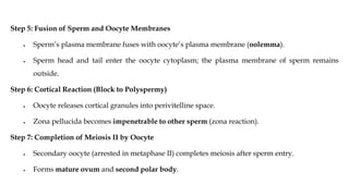 Step 5: Fusion of Sperm and Oocyte Membranes
• Sperm’s plasma membrane fuses with oocyte’s plasma membrane (oolemma).
• Sperm head and tail enter the oocyte cytoplasm; the plasma membrane of sperm remains
outside.
Step 6: Cortical Reaction (Block to Polyspermy)
• Oocyte releases cortical granules into perivitelline space.
• Zona pellucida becomes impenetrable to other sperm (zona reaction).
Step 7: Completion of Meiosis II by Oocyte
• Secondary oocyte (arrested in metaphase II) completes meiosis after sperm entry.
• Forms mature ovum and second polar body.
 